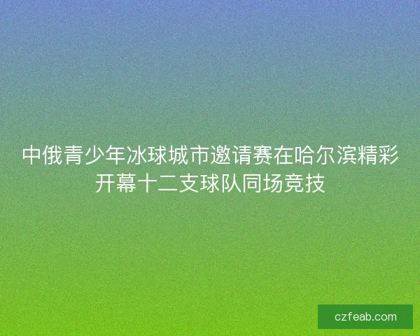 中俄青少年冰球城市邀请赛在哈尔滨精彩开幕十二支球队同场竞技